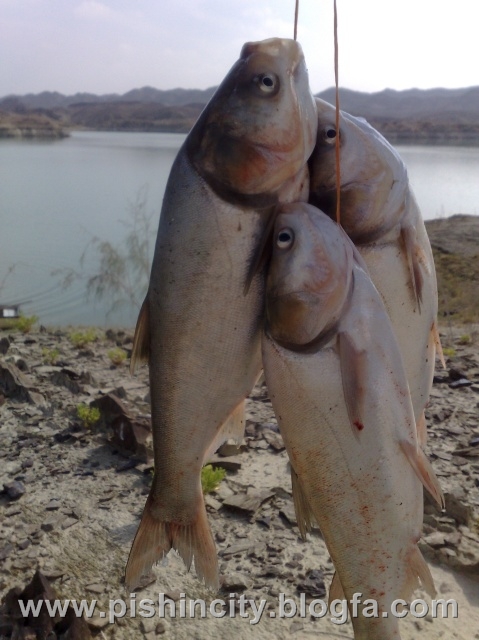 پاتوق شهر پیشین