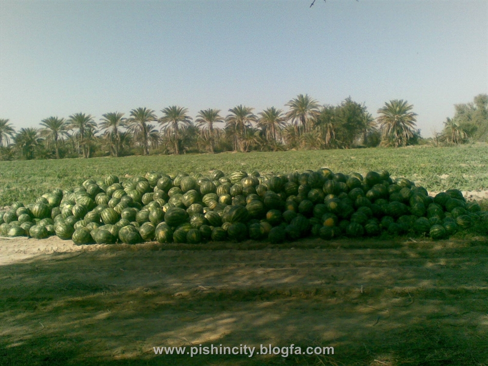 پاتوق شهر پیشین