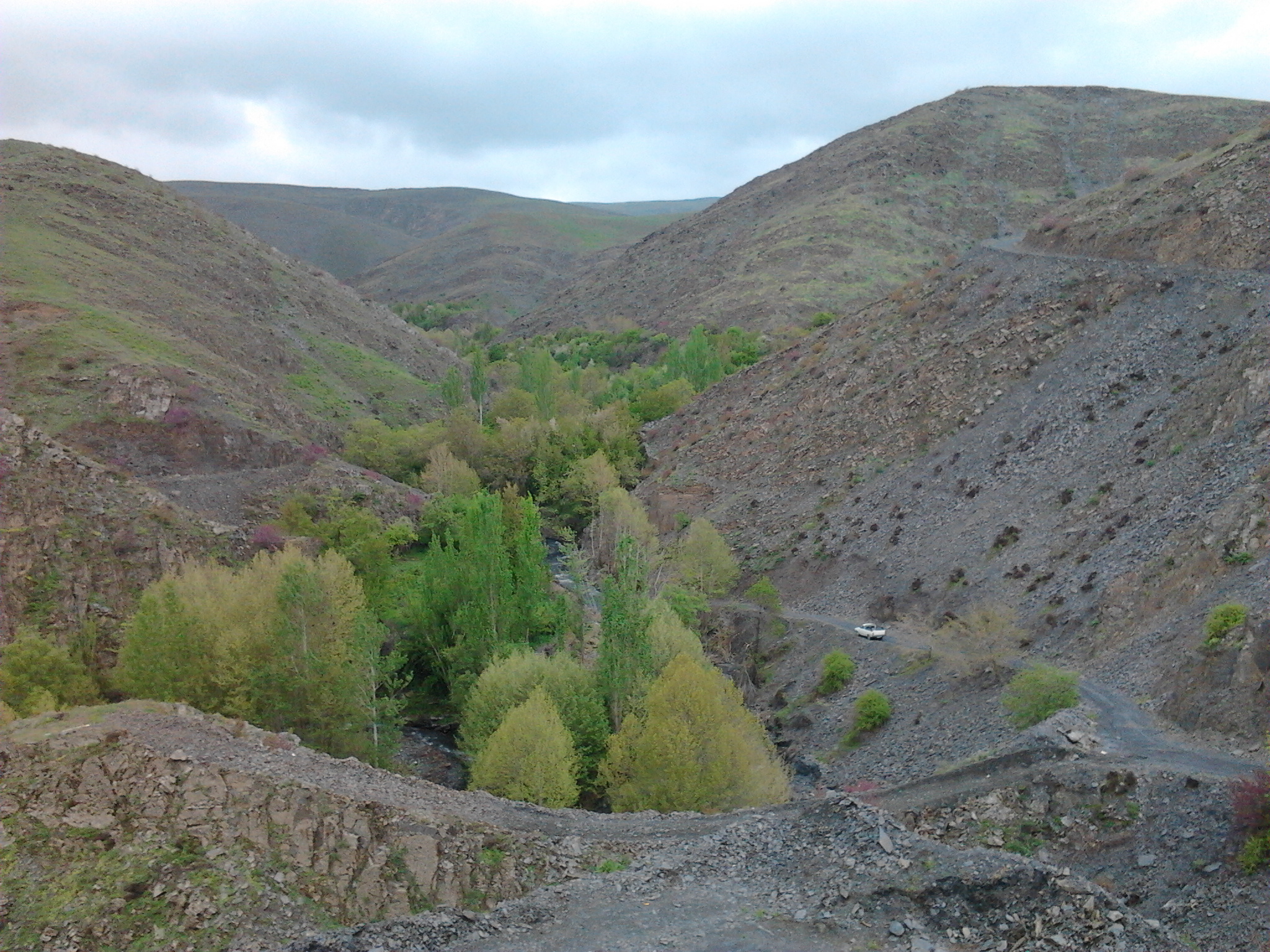 دره ارغوان
