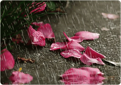 http://s3.picofile.com/file/7365919030/48178694003127020189.gif