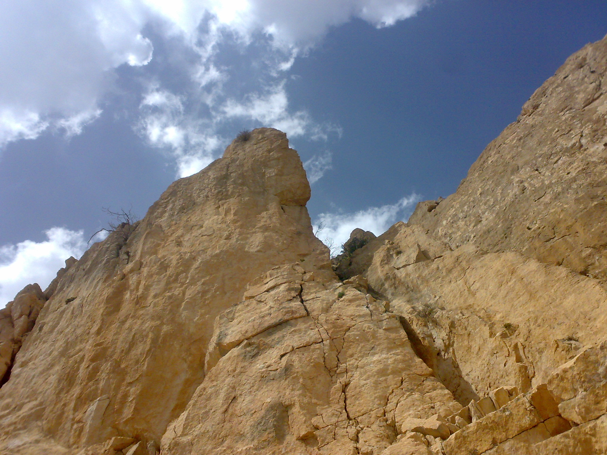 ماغر ارديبهشت91