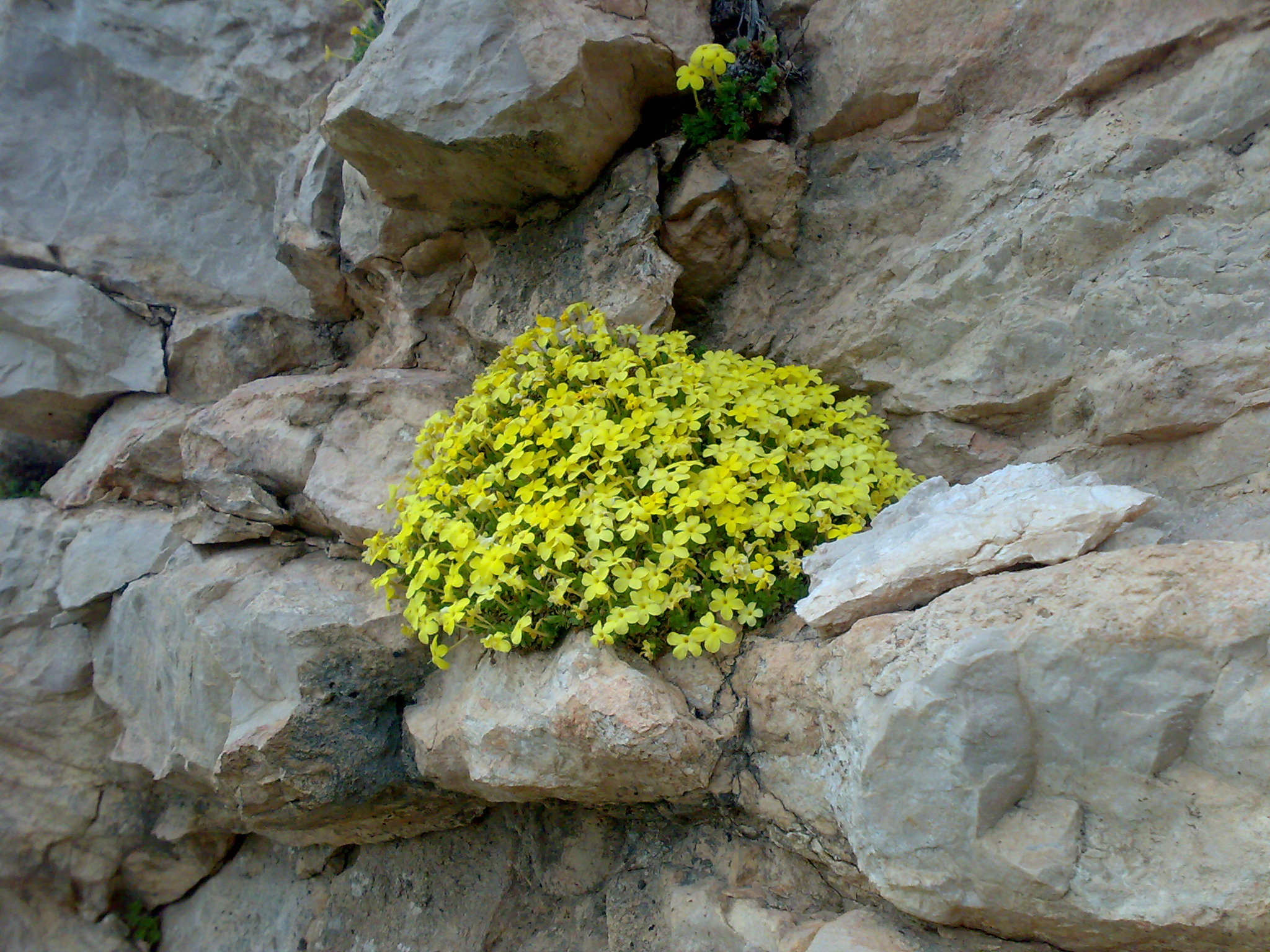 ماغر ارديبهشت91