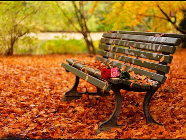 http://s3.picofile.com/file/7371038488/Avazak_ir_Love708.jpg
