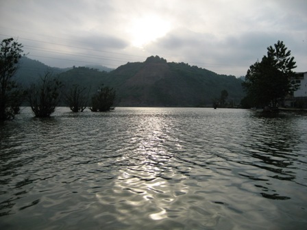 IMG_7812.jpg