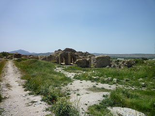ارک شاهی