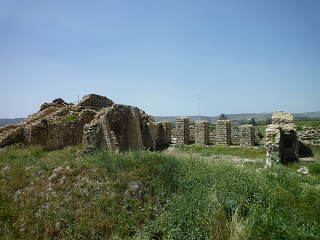 ارک شاهی