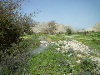 رود شاپور