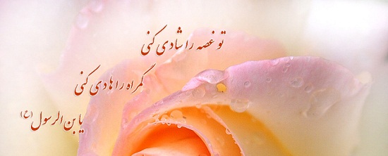 گمراه را هادی کنی یابن الرسول