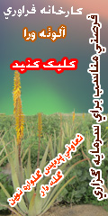 فرصتی مناسب برای سرمایه گزاران