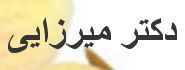 دکتر میرزایی