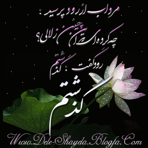 عاشقانه های دل شیدا