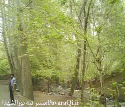 تپه نورالشهداء کلکچال