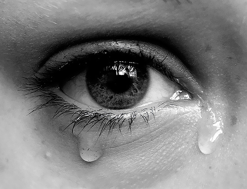 برای اشک هایمان