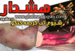 خبر فوری: تب کشنده و خطرناک کنگو در مشهد، گوشت های آلوده http://ghafase.blogsky.com