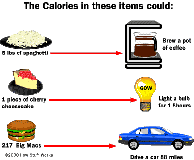 کالری مواد غذایی