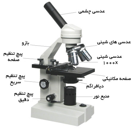 میکروسکوپ نوری