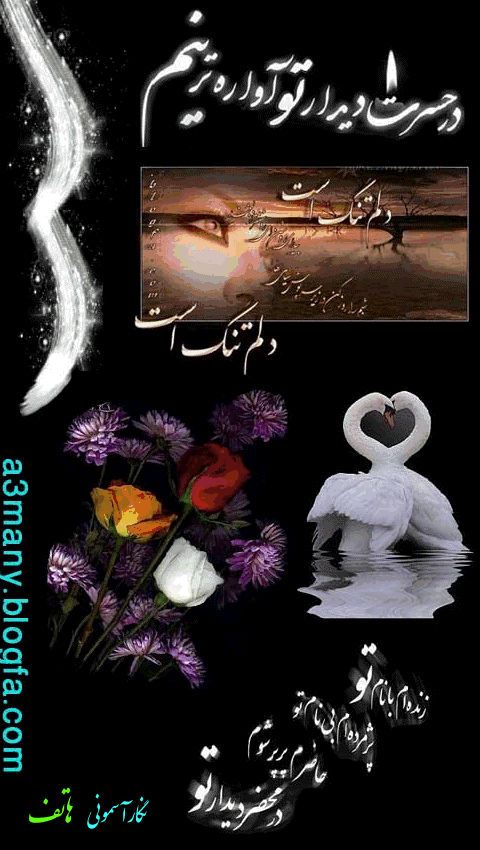 نگار آسمونی