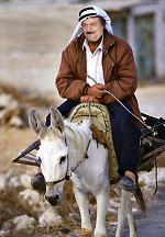 هر آنكه را بخت برگردد اسبش در طویله خر گردد