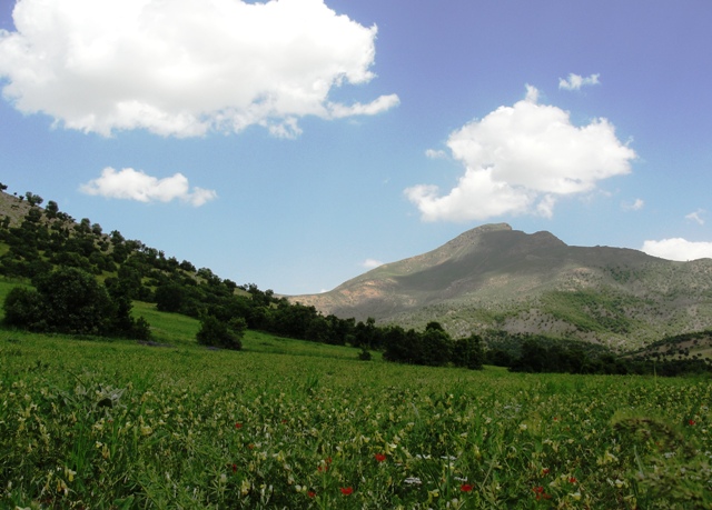 بانه 