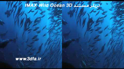 IMAX Wild Ocean screenshot,آیمکس ویلد اوشن ، اقیانوس وحشی 3بعدی