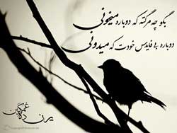 پوستر جدید محسن چاوشی