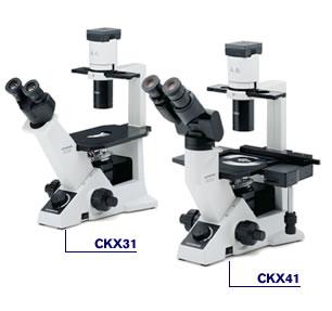 CKX2 Series - CKX41 & CKX31