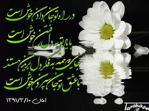 کارت پستال درخواستی طراحان