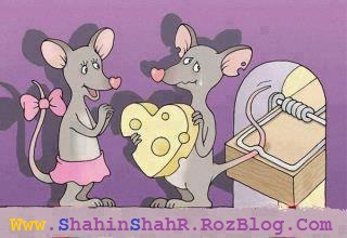 بهترین وبلاگ تفریحی ایرانیان Www.ShahinShahR.RozBlog.Com