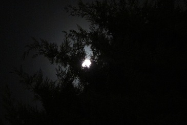 ارومیه , شنبه سیزدهم خرداد