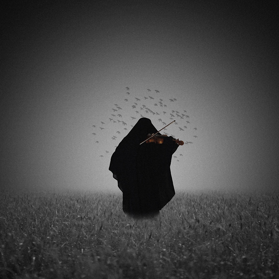 Image By FotoPic.ir