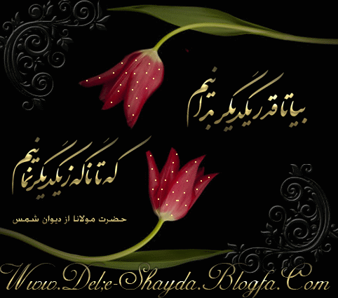 عاشقانه های دل شیدا
