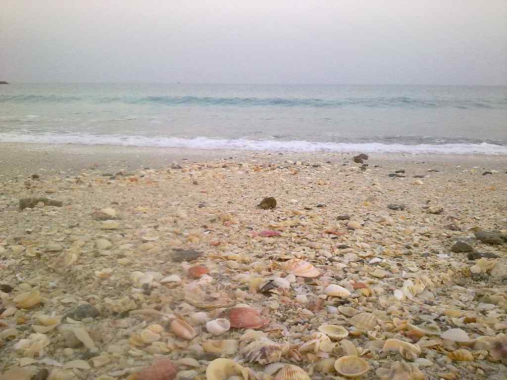 [تصویر: 1.jpg]