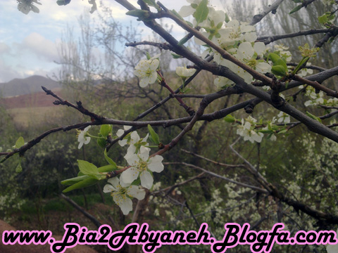 ابیانه نگینی در دل کوه