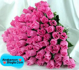 |http://www.atrebaroon.blogfa.com|روانشناسی عشق و ازدواج|http://www.atrebaroon.blogfa.com|