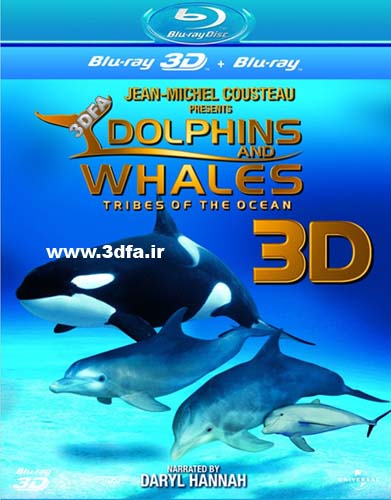 imax dolphins and whales 3d cover,مستند سه بعدی دلفین آیمکس 3 بعدی