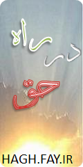تیم مبارزان سایبری