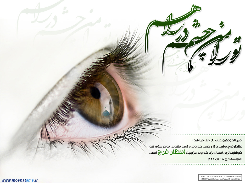 پاسخ به:پاورچین...پاورچین...