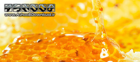 روش های تشخیص عسل طبیعی و تقلبی | www.AshooBDownload.ir