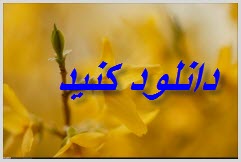 كتابخانه الكترونيك