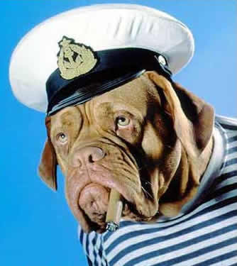 افراهیم هلوی