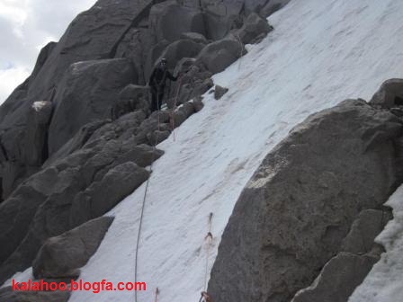 گرده آلمانها 