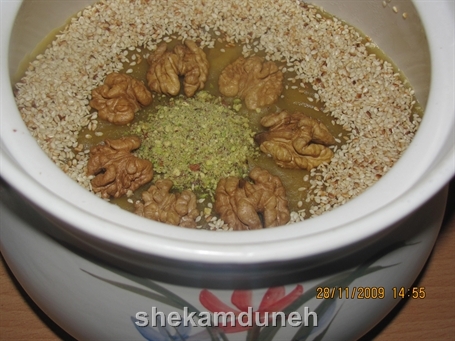 کاچی