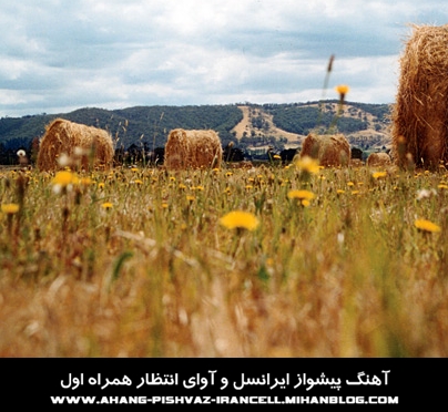 http://s3.picofile.com/file/7466289030/Bi%20Vafa%20SMS.jpg