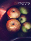 گۆڤاری ژن١٥-كتێبخانه ی كوردي ئه وين