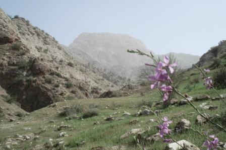 کوه قلعه باغ تاج