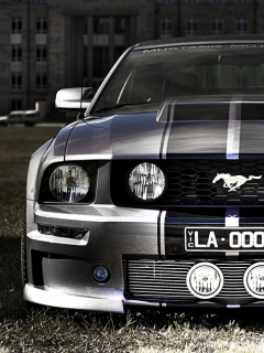 http://s3.picofile.com/file/7481728167/WallPaper_20_4.jpg