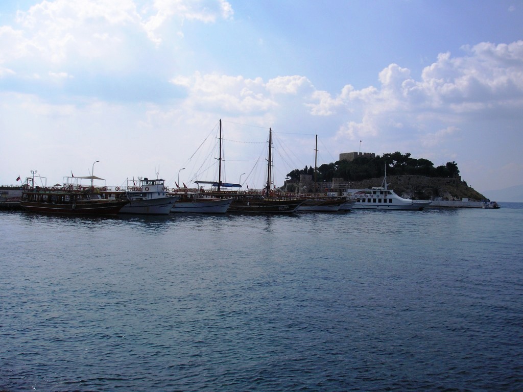 http://s3.picofile.com/file/7494071070/P1011651.jpg