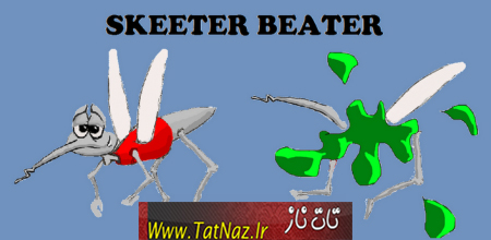 Skeeter Beater