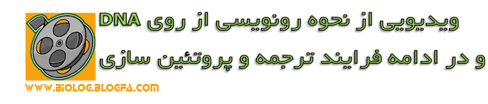 رونویسی و ترجمه