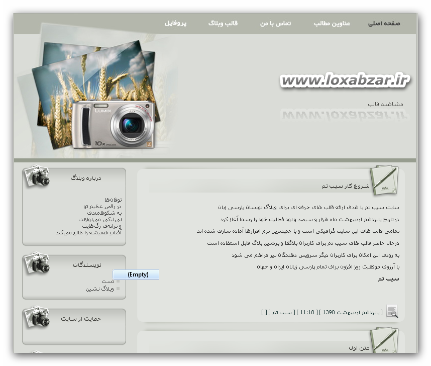 Blog Skin
